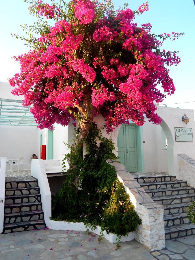 Apartmán Astoria Paros Nausa Exteriér fotografie