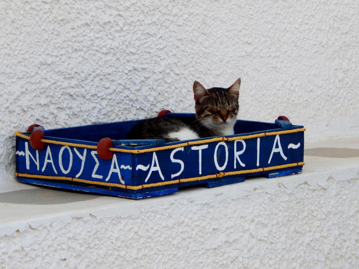Apartmán Astoria Paros Nausa Exteriér fotografie