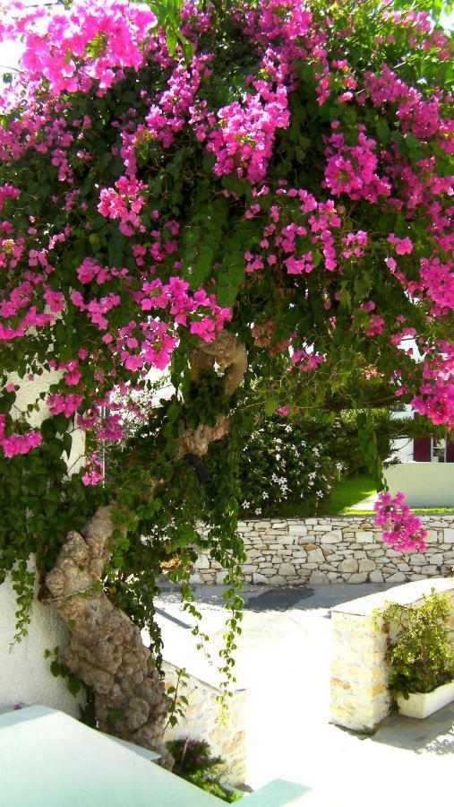 Apartmán Astoria Paros Nausa Exteriér fotografie